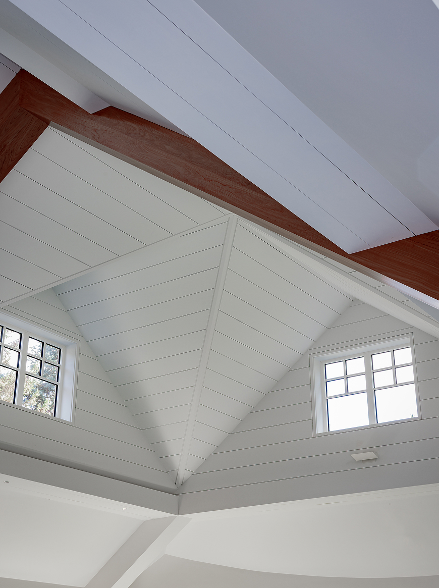 The Natatorium Project Image