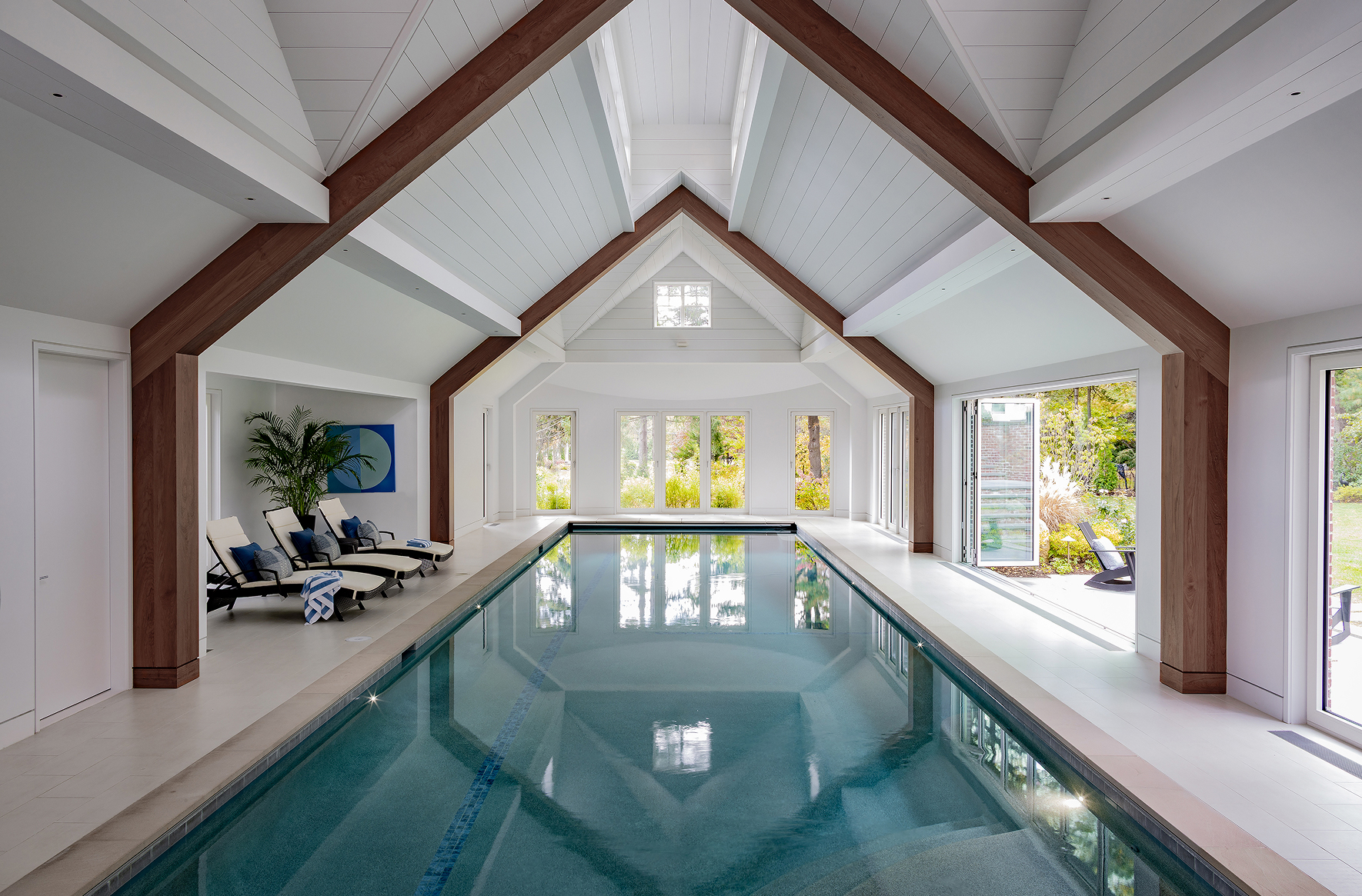 The Natatorium Project Image